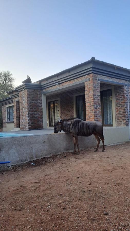 Nanisto Bush Lodge Marloth Park Ngoại thất bức ảnh