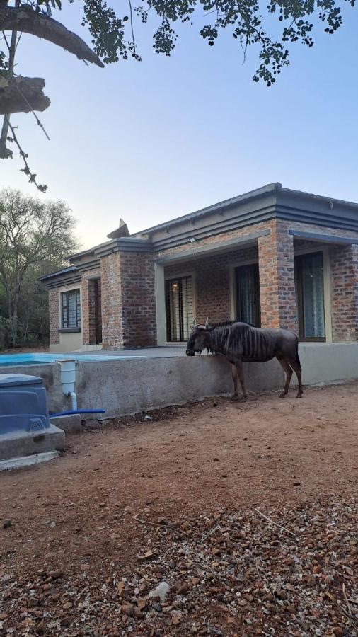 Nanisto Bush Lodge Marloth Park Ngoại thất bức ảnh